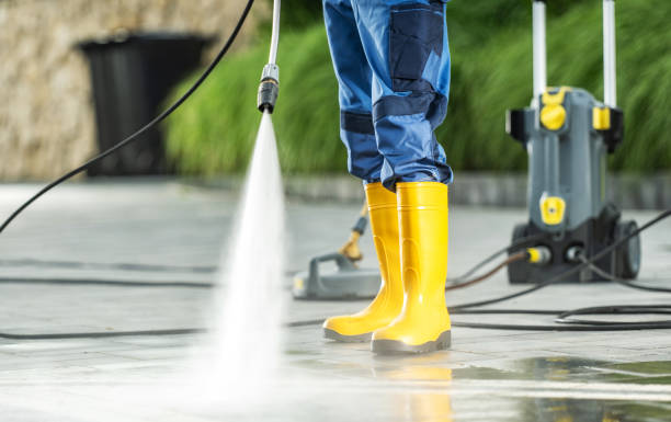 Best House Pressure Washing  in Marillo, CA
